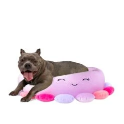 Beula The Octopus - Squishmallows Pet Bed -KidKraft Shop JPT0085 Pets SquishmallowsBed BeulaTheOctopus 30in LG 2.0 lpr
