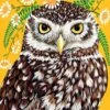 Maureen Owl 300pc Puzzle